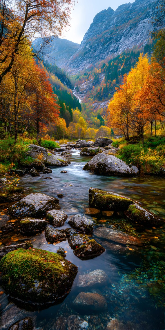 秋韵山谷，溪流如画
